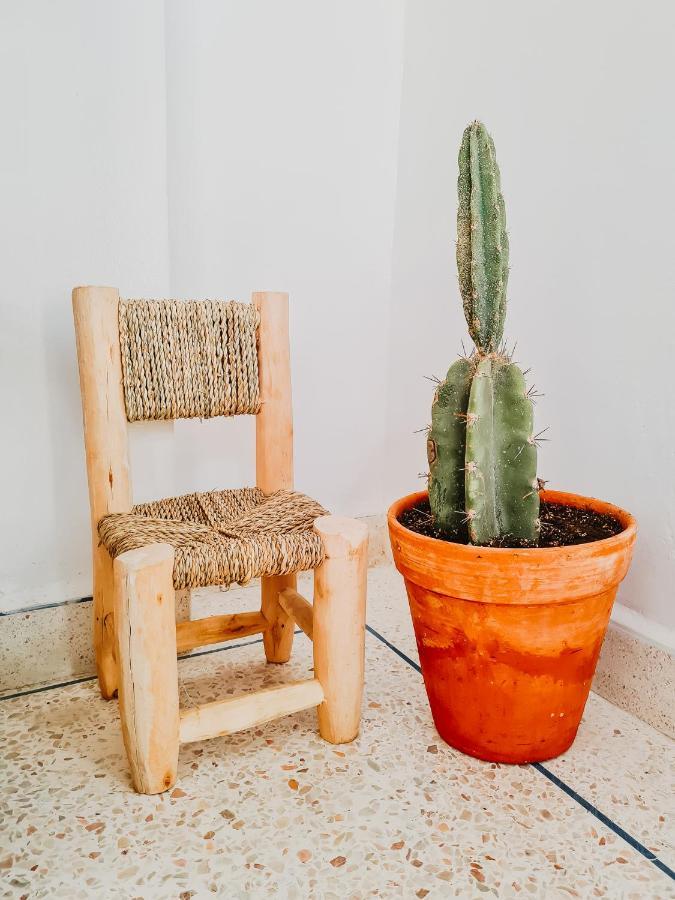 Ostello Cactus Surf House Tamraght Esterno foto